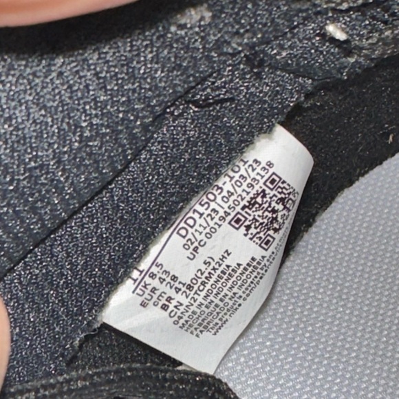 Panda dunks - Picture 7 of 7